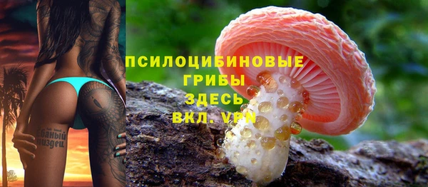 PSILOCYBIN Богородицк