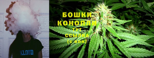 спиды Богданович