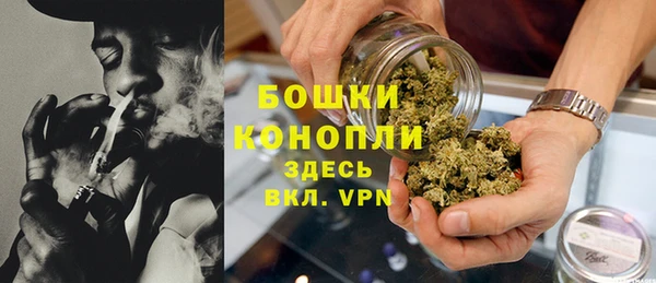 PSILOCYBIN Богородицк