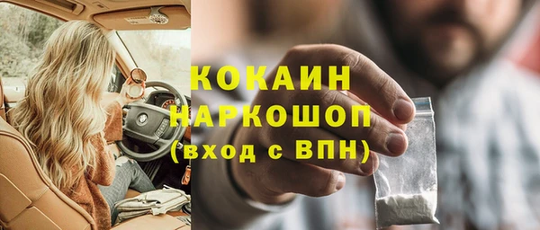 спиды Богданович
