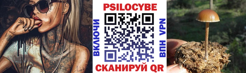 блэк спрут ONION  Кологрив  Псилоцибиновые грибы Magic Shrooms  продажа наркотиков 